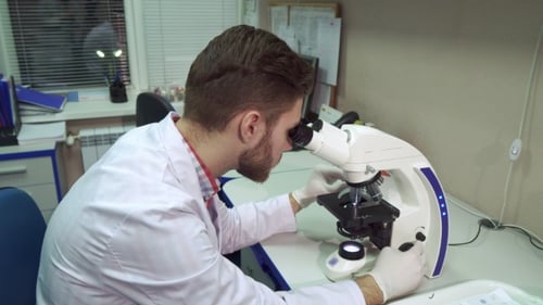Young Adult Scientist Using a Microscope in a Lab