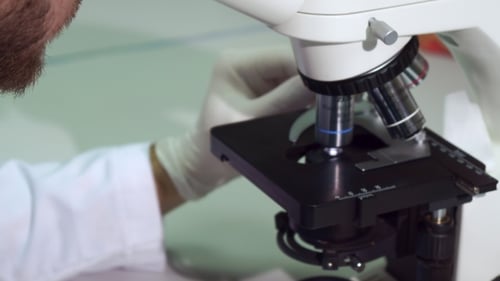 Scientist Using Microscope in Bright Laboratory Setting