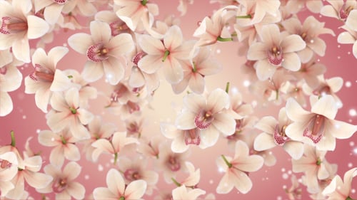 Romantic Falling Pink Flowers and Sparkling Particles Background