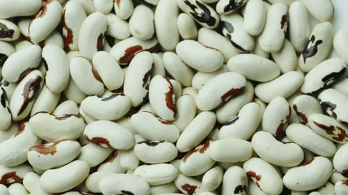 Rotating Close-Up of Raw White Lima Beans