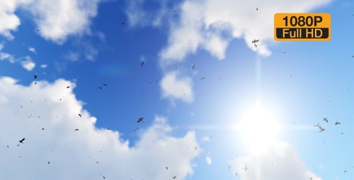 Flock of Birds Flying in Sunny Blue Sky with Clouds