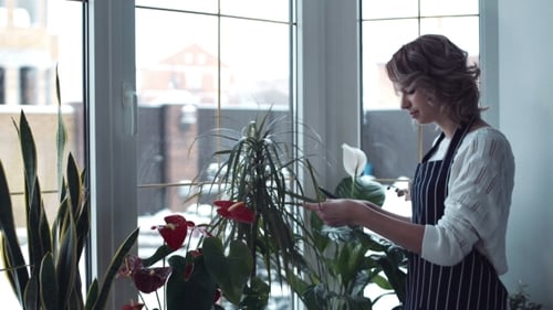 Mujer joven corta las hojas de flores