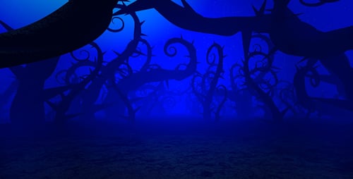 Scary Forest With Prickly Plants