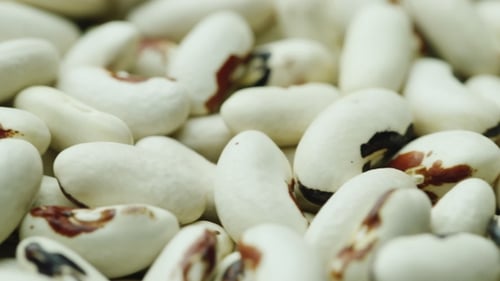 Close Up Shot of Raw Speckled Beans