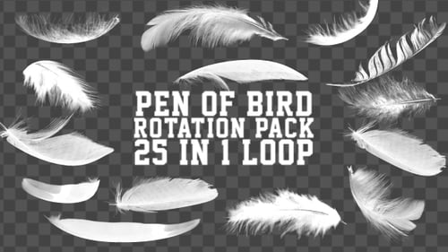Pack Pluma Rotación