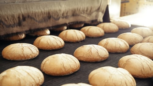 Bread Bakery Food Factory Production with Fresh Products