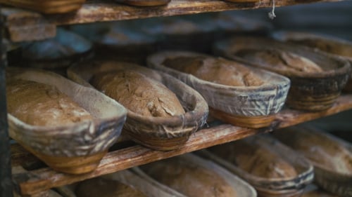 Many Fresh Loafs of Rye Bread