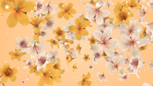 Elegant Floating White and Yellow Flowers Background