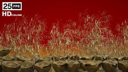Gold Chine 5