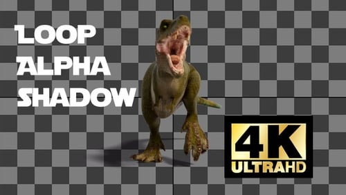 Dinosaur Tyrannosaurus Run And Roar Loop With Alpha And Shadow Front View