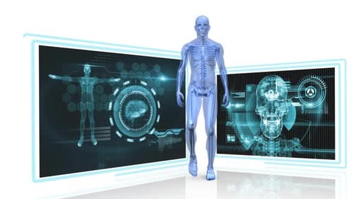 Anatomie des Menschen