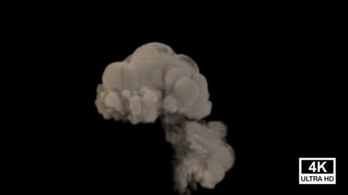 Realistic Smoke Plume Rising and Dissipating Effect