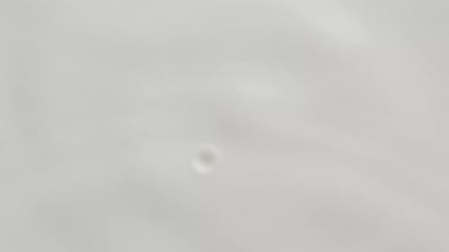 Milk Drop Dripping on the White Liquid Surface Making Crown and Circular Ripples
