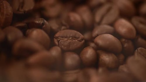 Close-up of Freshly Roasted Aromatic Coffee Beans