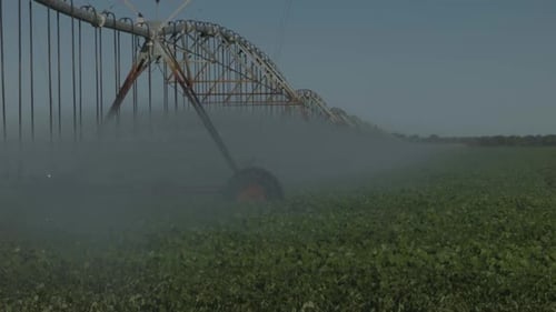 042 Agro Diverso