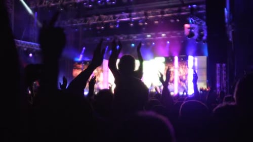 Enthusiastic Crowd Cheering at Concert at Night