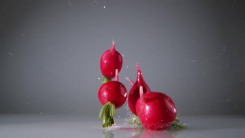 Radishes falling on water surface. Slow Motion.