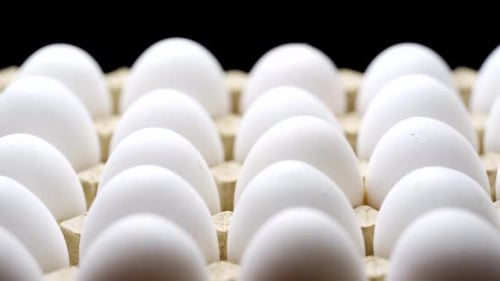 Close Up White Eggs in Cardboard Container