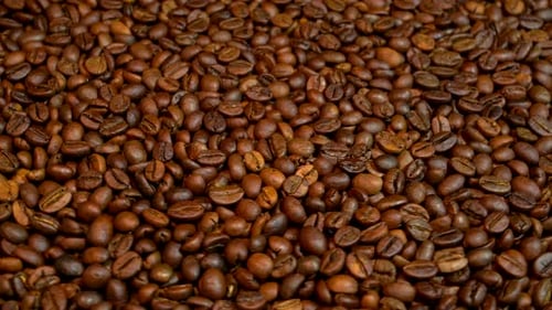 Fondo de café