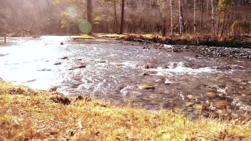Dolly Slider Shot of the Splashing Water in a Mountain River Near Forest