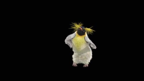 Penguin Dancing HD