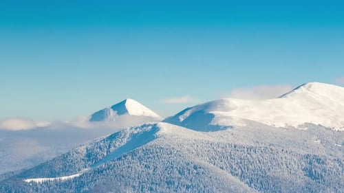 Wunderschöne Winterlandschaft mit schneebedeckten Bäumen. Winterliche Berge.