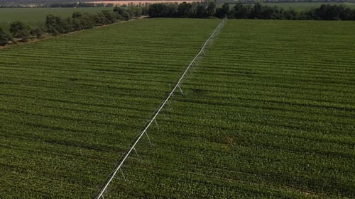 Aerial view of agricultural irrigation system watering corn field