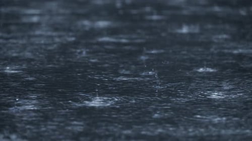 Rains