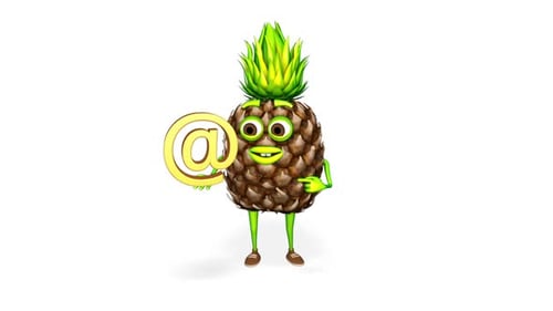 Pineapple Character Shows Email Loop On White Background