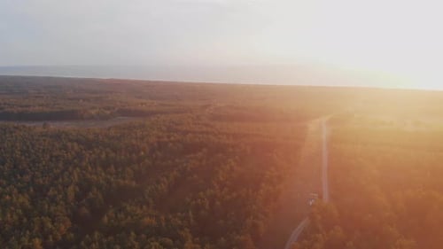 Drone view of forest and water
