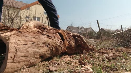 Man Chopping Wood Closeup