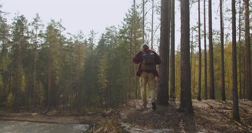 Aged Man with Backpack Is Walking in Sunny Forest at Autumn Day, Back View of Person, Calm Hiking