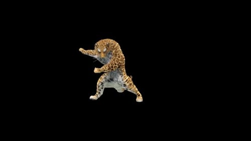 Leopard-Tanz HD