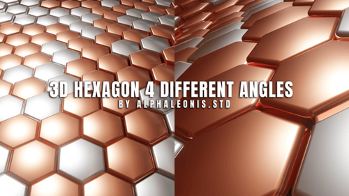 Hexagon 3D Clean Two Tone