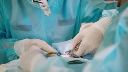 Ärzteteam, das Operationen durchführt. Gruppe von Chirurgen im Operationssaal des Krankenhauses