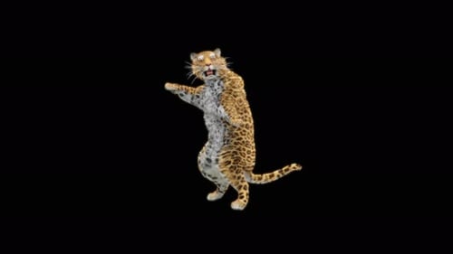 80 Leopard springt nach unten 4K