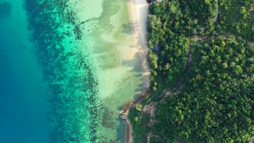 Paradise tropical island with lush vegetation and white sandy beach washed by clear crystal water of