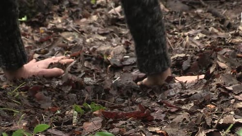 Mains et pieds d'une danseuse en contact avec des feuilles organiques naturelles en décomposition dans la forêt.