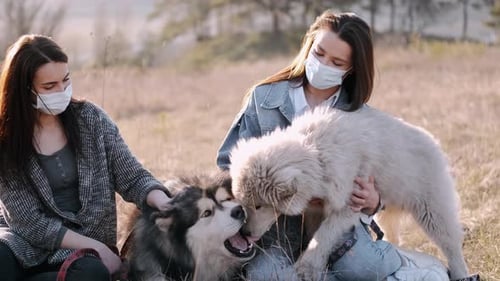 Pretty Young Girls Are Walking with Cute Dogs in the Field