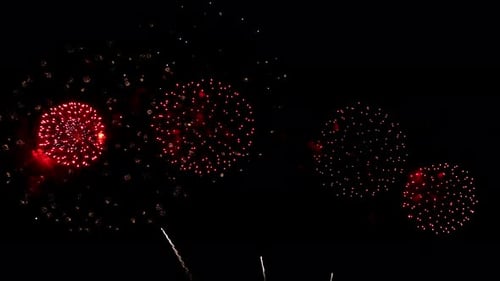 Many flashing colorful fireworks in event amazing with black background celebrate New Year.