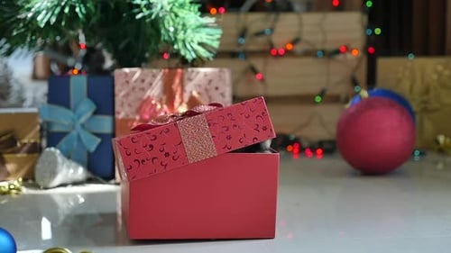 Striped Kitten climbs out of Christmas Gift Box