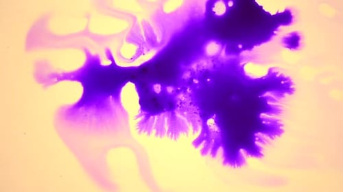 Abstract Purple Dye Spreading on Yellow Background