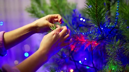 Girl decorates Christmas tree. Close up of woman hands decorate Christmas tree at home