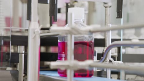 Automated Production Line Filling Bottles with Pink Liquid