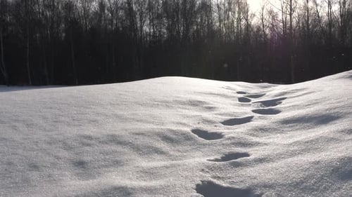 Small Ice Crystals fall on Footsteps in Frozen Snow, tilt down close shot