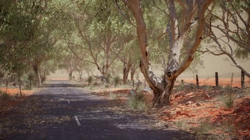 Open Road in Australia with Bush Trees