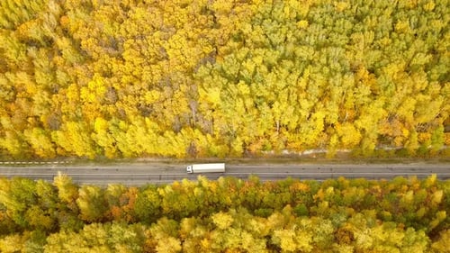Aerial View of Highway Through Autumnal Forest