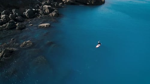 Ocean Exploration With Stand Up Paddle Board