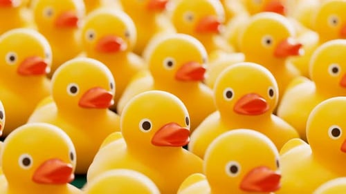 Cute Yellow Rubber Ducks Bobbing Loop Background Animation