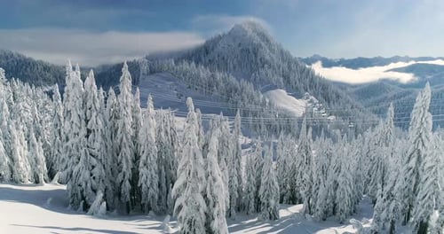 Skiing Concept Mountain Peak Drone View Dropping To Reveal Skier Hiking Up Through Deep Powder Snow